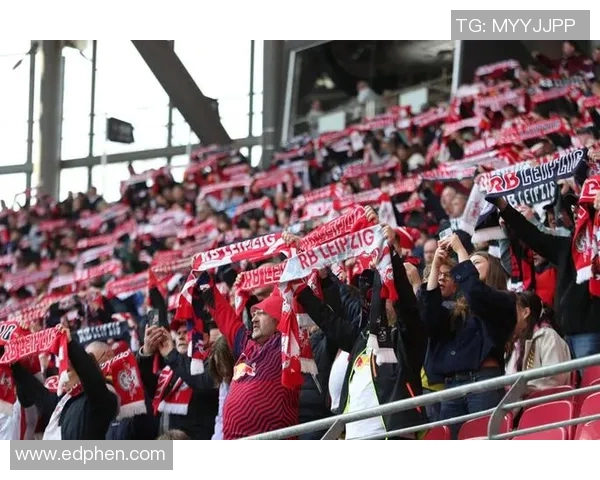 墨尔本城与中央海岸2016年精彩对决回顾与分析 墨尔本城与中央海岸2016年精彩对决回顾与分析